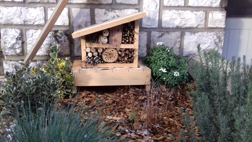 Hôtel à insectes